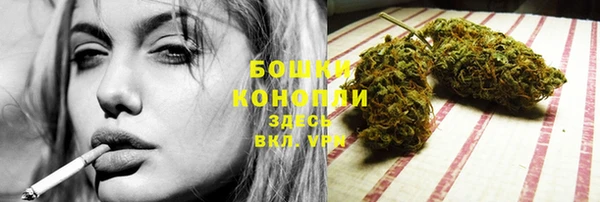 2c-b Горняк