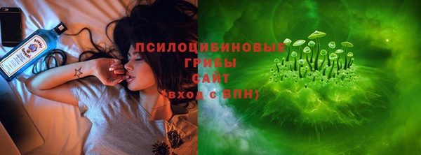 индика Горнозаводск