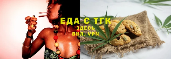 индика Горнозаводск