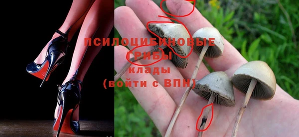 индика Горнозаводск