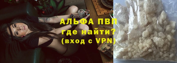 индика Горнозаводск