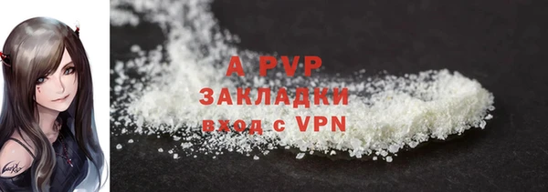 индика Горнозаводск