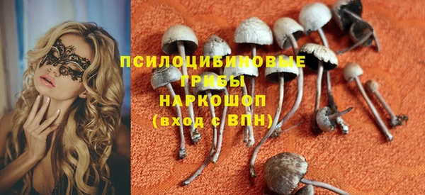 индика Горнозаводск