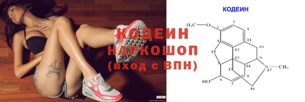 индика Горнозаводск