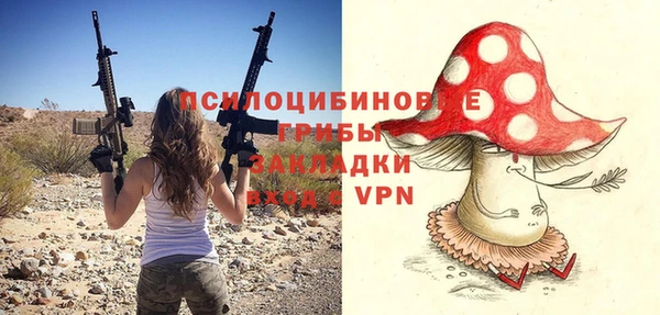 индика Горнозаводск