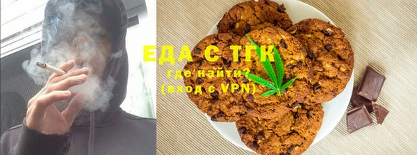 индика Горнозаводск