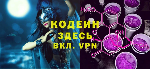 индика Горнозаводск