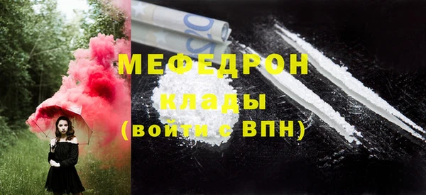 индика Горнозаводск