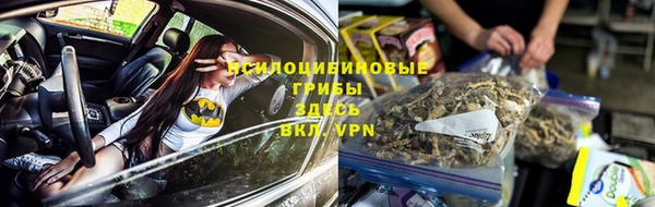 индика Горнозаводск