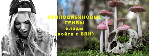 COCAINE Горно-Алтайск