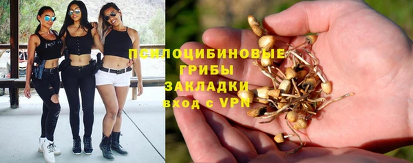COCAINE Горно-Алтайск
