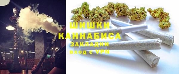 индика Горнозаводск