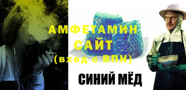 индика Горнозаводск