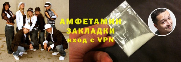 индика Горнозаводск