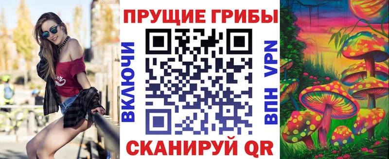 купить наркотик  Копейск  Псилоцибиновые грибы мухоморы 